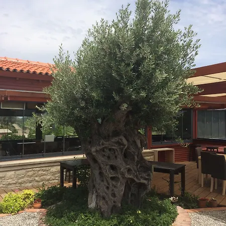 Ξενοδοχείο Urla Bagevi Yağcılar