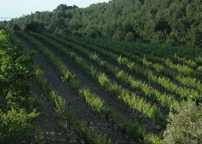 Urla Bagevi ホテル